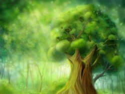 волшебный лес